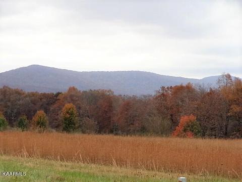 Keating Court, Crossville, TN 38555
