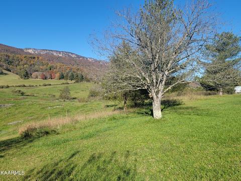 466 Grandview Dr, Ewing, VA 24248 photo 5