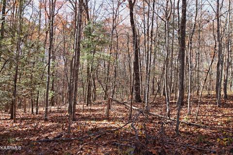 121 Maple Loop, Jamestown, TN 38556 photo 10