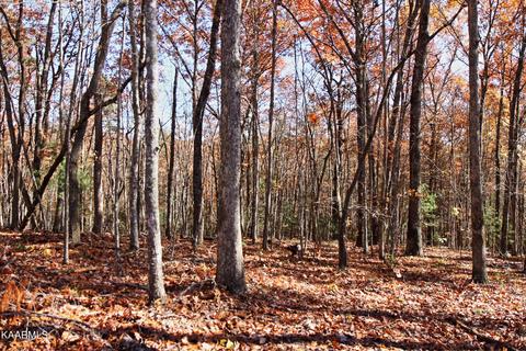 121 Maple Loop, Jamestown, TN 38556 photo 11