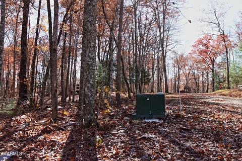 121 Maple Loop, Jamestown, TN 38556 photo 7