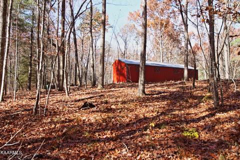 121 Maple Loop, Jamestown, TN 38556 photo 5
