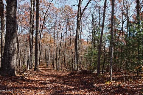 121 Maple Loop, Jamestown, TN 38556 photo 9