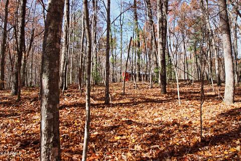 121 Maple Loop, Jamestown, TN 38556 photo 8