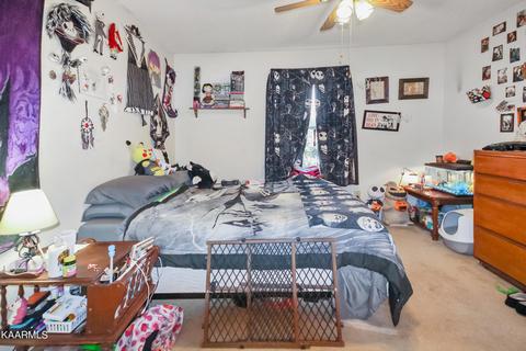 7913 Eldin Way, Powell, TN 37849 photo 17