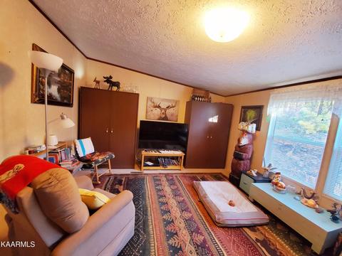 162 Tanner Dr, Ewing, VA 24248 photo 20
