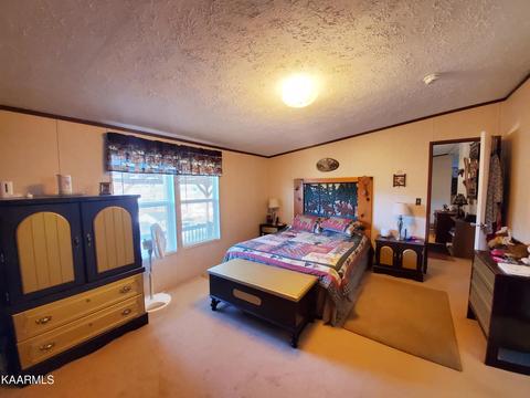 162 Tanner Dr, Ewing, VA 24248 photo 13