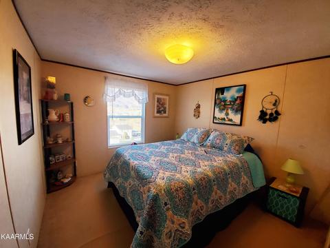 162 Tanner Dr, Ewing, VA 24248 photo 21