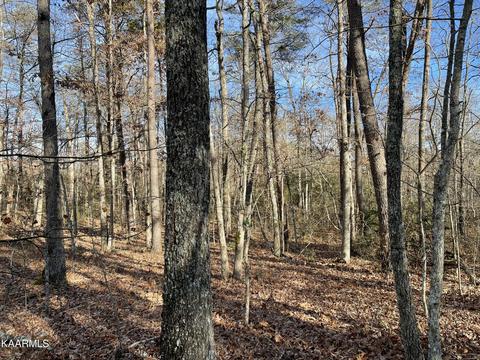 26 Anne Rd, Monterey, TN 38574