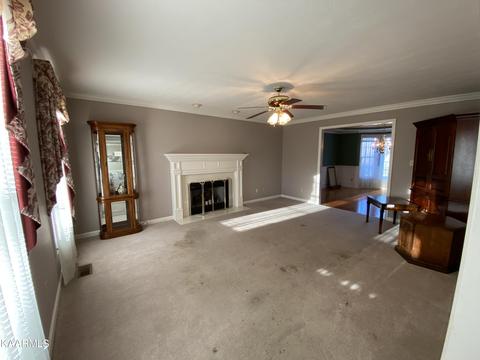 8024 Paradise Dr, Powell, TN 37849 photo 3
