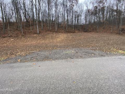 Doe's Crossing, Middlesboro, KY 40965 photo 4