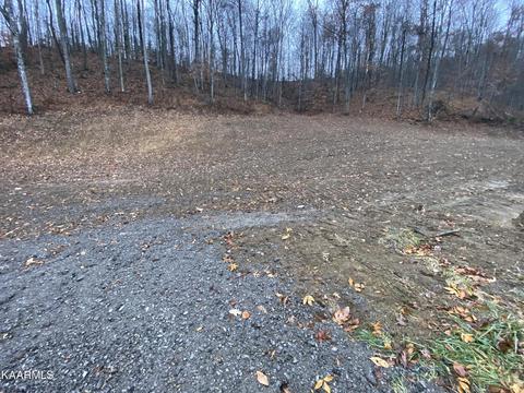 Doe's Crossing, Middlesboro, KY 40965 photo 2