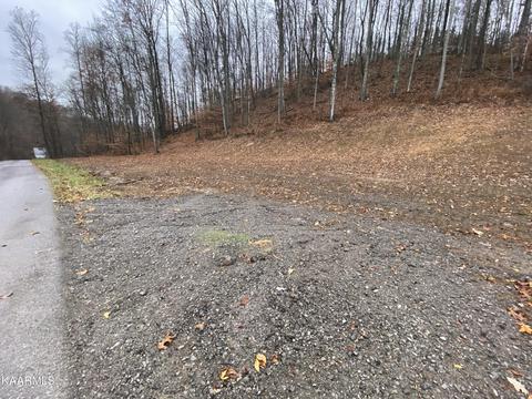 Doe's Crossing, Middlesboro, KY 40965 photo 3