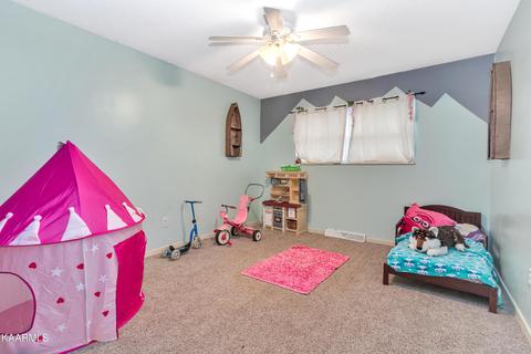 2806 Lake Forest Cir, Talbott, TN 37877 photo 12