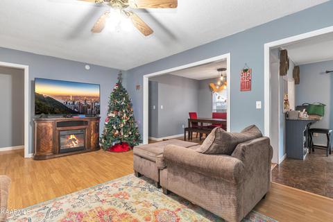 2806 Lake Forest Cir, Talbott, TN 37877 photo 5