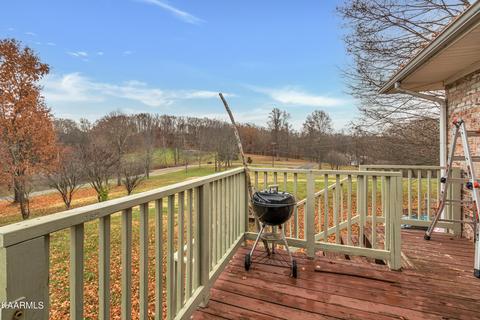 2806 Lake Forest Cir, Talbott, TN 37877 photo 24