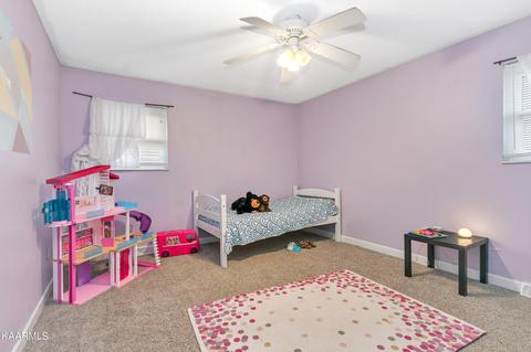 2806 Lake Forest Cir, Talbott, TN 37877 photo 13