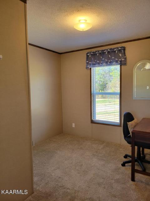1202 E Cole Rd, Quebeck, TN 38579 photo 15