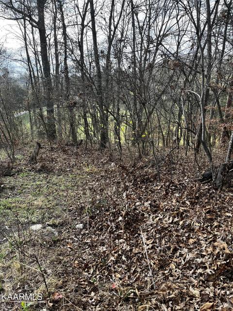 438 Miller Rd, Clinton, TN 37716 photo 21