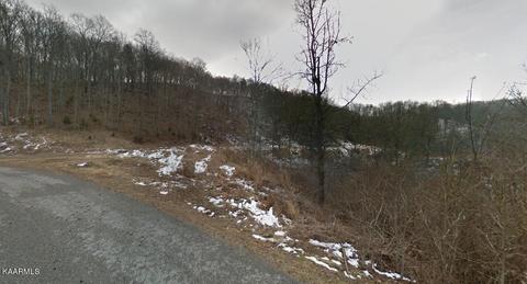 Trillium Drive, Andersonville, TN 37705