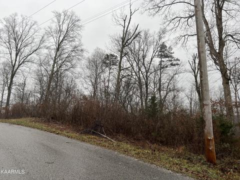 48 Horseshoe Bend Road, Speedwell, TN 37870