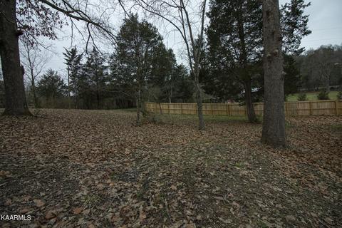 9518 Crisman Rd, Heiskell, TN 37754 photo 27