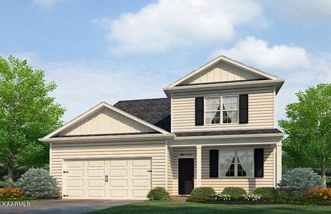 216 Claire Pl, Talbott, TN 37877 photo 1