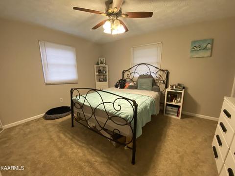 242 Machine Branch Rd, Ewing, VA 24248 photo 8
