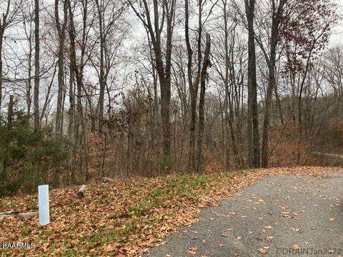 lot346 Larayne Hollow Rd, Sharps Chapel, TN 37866