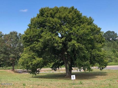 Lot 1 Fairway Drive, Dandridge, TN 37725