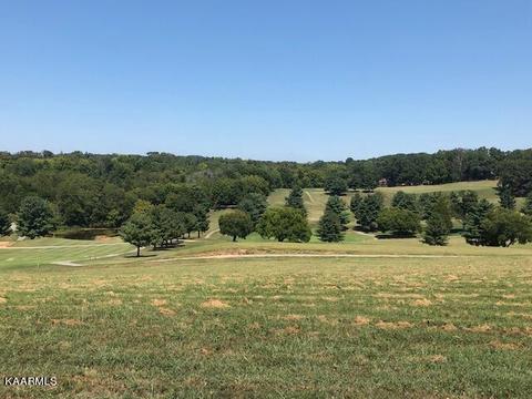 Lot 35 Fairway Drive, Dandridge, TN 37725