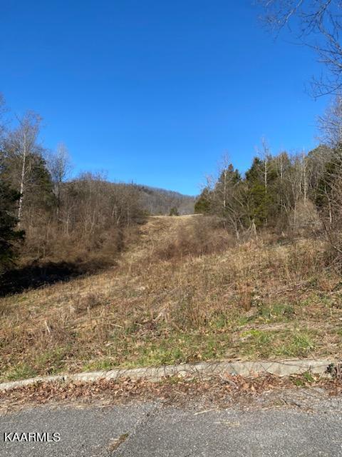 Sussex Ln, La Follette, TN 37766
