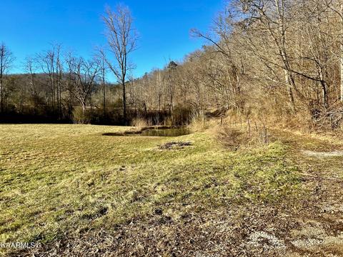 192 Terry Ln, Duff, TN 37729 photo 35
