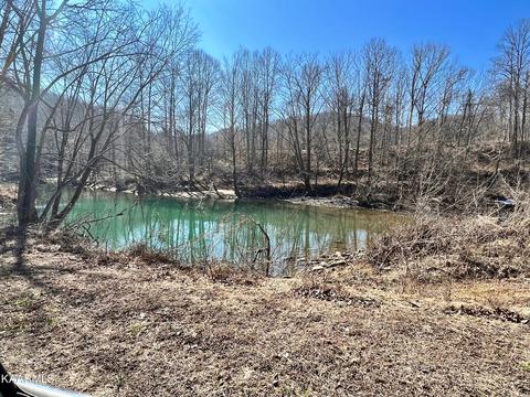 192 Terry Ln, Duff, TN 37729 photo 26