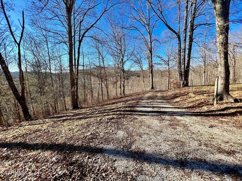 192 Terry Ln, Duff, TN 37729 photo 37
