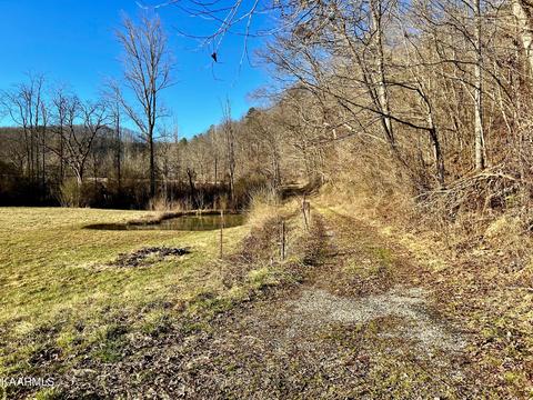 192 Terry Ln, Duff, TN 37729 photo 34
