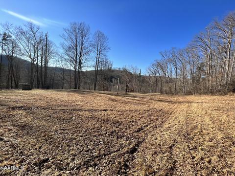 192 Terry Ln, Duff, TN 37729 photo 39