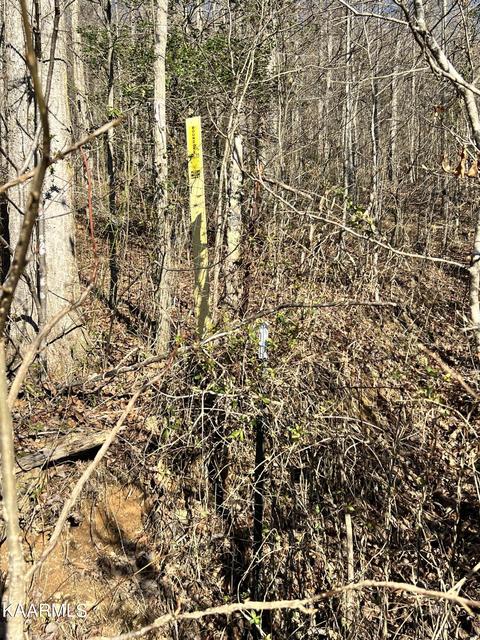 192 Terry Ln, Duff, TN 37729 photo 11
