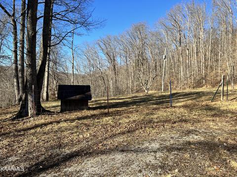 192 Terry Ln, Duff, TN 37729 photo 43