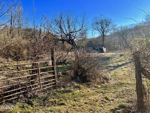 192 Terry Ln, Duff, TN 37729 photo 7