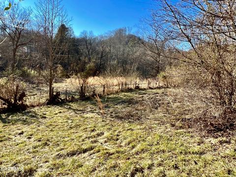 192 Terry Ln, Duff, TN 37729 photo 33