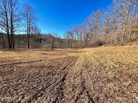 192 Terry Ln, Duff, TN 37729 photo 10