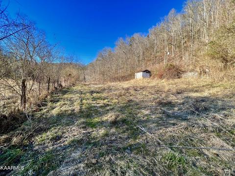 192 Terry Ln, Duff, TN 37729 photo 32