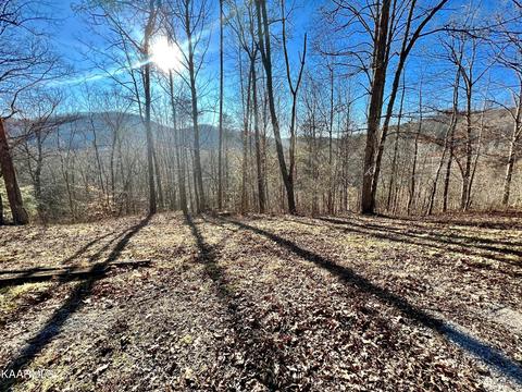192 Terry Ln, Duff, TN 37729 photo 9