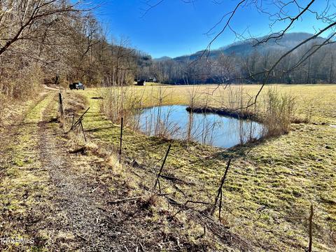 192 Terry Ln, Duff, TN 37729 photo 8