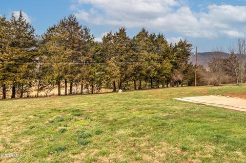 384 Sharp Acres Rd, Jacksboro, TN 37757 photo 37