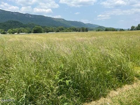 Sand Cave Road, Ewing, VA 24248 photo 11