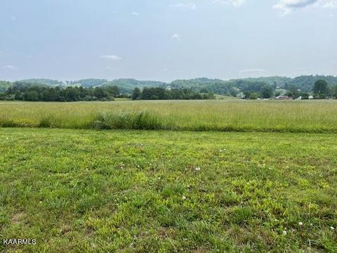 Sand Cave Road, Ewing, VA 24248 photo 16