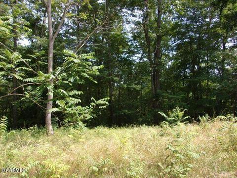 lot254 Marble Point Way, New Tazewell, TN 37825