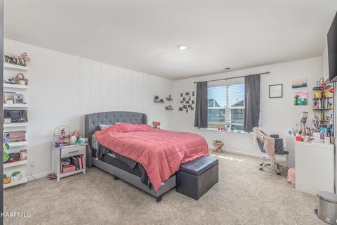 170 Claire Pl, Talbott, TN 37877 photo 24